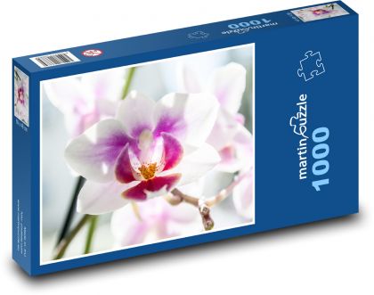 Orchidea - ružový kvet, kvetina - Puzzle 1000 dielikov, rozmer 60x46 cm