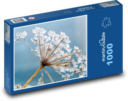 Bolehlav - led, zmrzlý - Puzzle 1000 dílků, rozměr 60x46 cm
