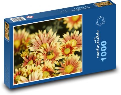 Chryzantéma - okvětní lístky, zahrada - puzzle 1000 dílků