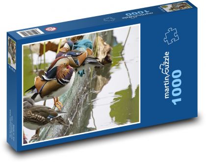 Ducks - waterfowl, pond - Puzzle 1000 pieces, size 60x46 cm 