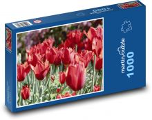 Czerwone tulipany - kwiaty, kwiaty Puzzle 1000 elementów - 60x46 cm