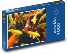 Koi ryby - rybník, voda Puzzle 1000 dílků - 60 x 46 cm
