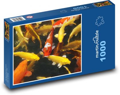 Koi ryby - rybník, voda - Puzzle 1000 dílků, rozměr 60x46 cm
