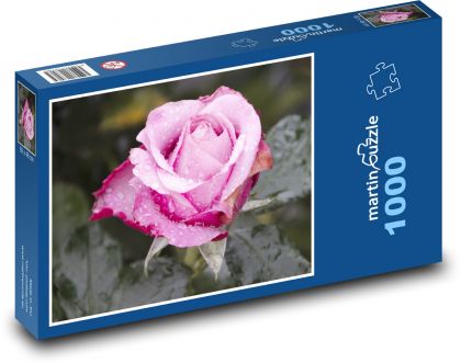 Różowa róża - kwiat, ogród - Puzzle 1000 elementów, rozmiar 60x46 cm
