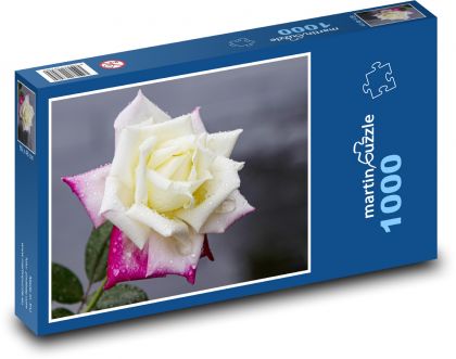 Květ růže - květina, růžový květ  - Puzzle 1000 dílků, rozměr 60x46 cm