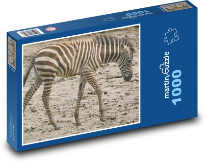 Zebra - mláďa, zviera - Puzzle 1000 dielikov, rozmer 60x46 cm