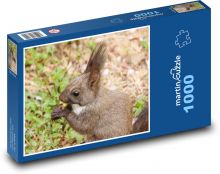 Veverka - hlodavec, divoká zvěř Puzzle 1000 dílků - 60 x 46 cm