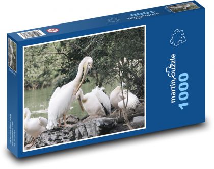 Pelikány - vtáctvo, rybník - Puzzle 1000 dielikov, rozmer 60x46 cm