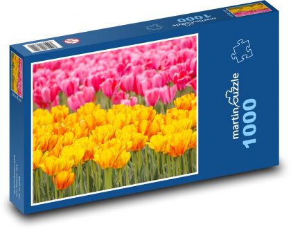 Pole tulipanów - kwiaty, ogród - Puzzle 1000 elementów, rozmiar 60x46 cm
