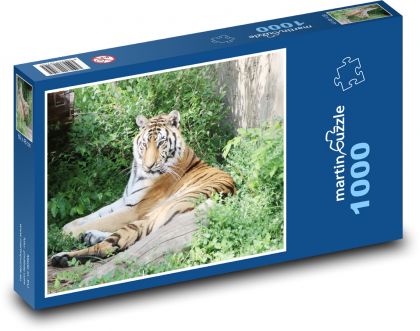 Tygr - zvíře, zoo  - Puzzle 1000 dílků, rozměr 60x46 cm