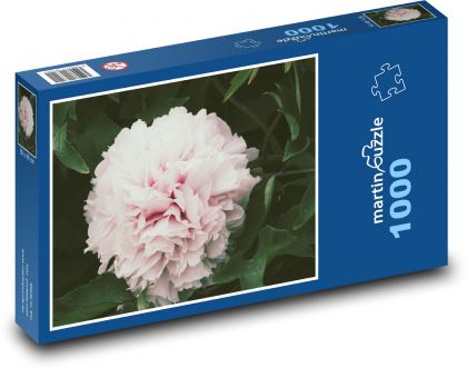 Różowa piwonia - kwiat, ogród - Puzzle 1000 elementów, rozmiar 60x46 cm