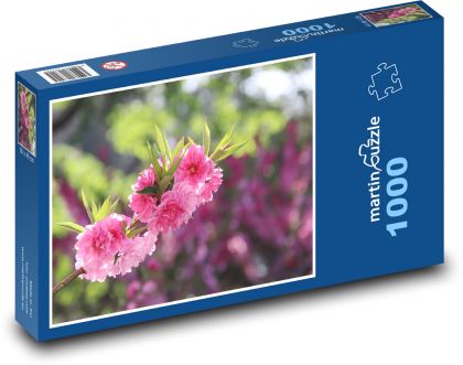 Broskvové květy - strom, zahrada - Puzzle 1000 dílků, rozměr 60x46 cm