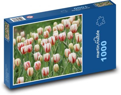 Tulipány - záhrada, kvety - Puzzle 1000 dielikov, rozmer 60x46 cm