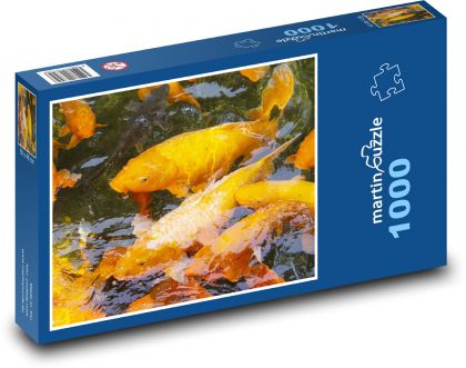 Koi-Karpfen - Fisch, Teich - Puzzle - 1000 Teile