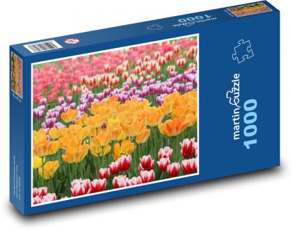 Tulipány - květiny, rostliny - Puzzle 1000 dílků, rozměr 60x46 cm