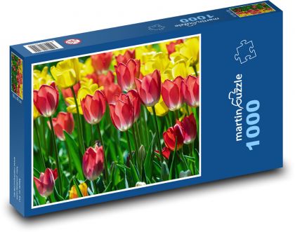 Field of tulips - yellow flowers, flowers - Puzzle 1000 pieces, size 60x46 cm 