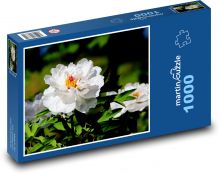 Biele pivonky - kvety, záhrada Puzzle 1000 dielikov - 60 x 46 cm 