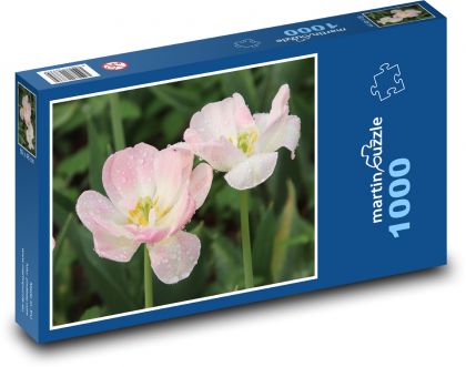 Růžové tulipány - květ, zahrada  - Puzzle 1000 dílků, rozměr 60x46 cm
