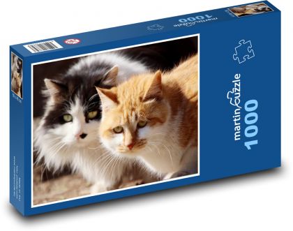 Koty - zwierzęta domowe, zwierzęta - Puzzle 1000 elementów, rozmiar 60x46 cm