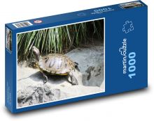 Želva - vodní živočich, plaz Puzzle 1000 dílků - 60 x 46 cm