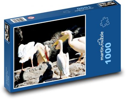 Pelicans - birds, animals - Puzzle 1000 pieces, size 60x46 cm 