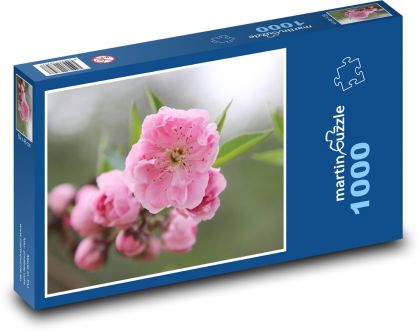 Kvetoucí třešeň - strom, jaro - Puzzle 1000 dílků, rozměr 60x46 cm