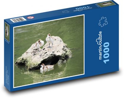 Ducks - rock, water - Puzzle 1000 pieces, size 60x46 cm 