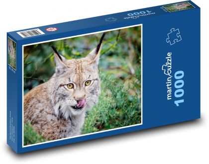 Luchs - Tier, Katze - Puzzle - 1000 Teile