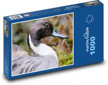 Kačica - vodný vták, perie Puzzle 1000 dielikov - 60 x 46 cm 