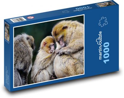 Makak - opice, zvieratá - Puzzle 1000 dielikov, rozmer 60x46 cm