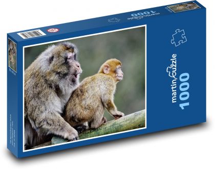Barbarian macaques - monkeys, cubs - Puzzle 1000 pieces, size 60x46 cm 