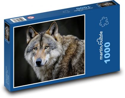 Vlk - divoké zvíře, savec - Puzzle 1000 dílků, rozměr 60x46 cm