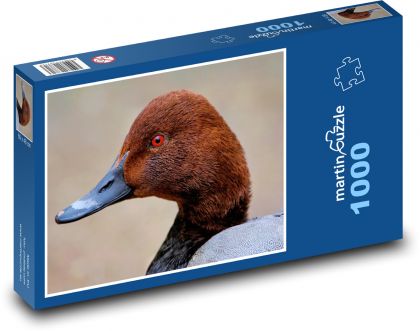 Duck - bird, beak - Puzzle 1000 pieces, size 60x46 cm 