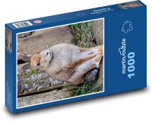 Irský zajíc - savec, býložravec Puzzle 1000 dílků - 60 x 46 cm
