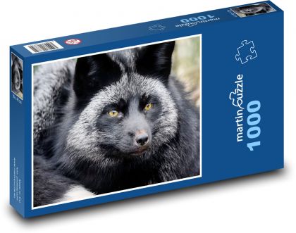 Silver fox - mammal, animal - Puzzle 1000 pieces, size 60x46 cm 