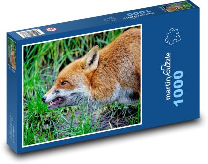 Lis - dzikie zwierzę, ssak - Puzzle 1000 elementów, rozmiar 60x46 cm