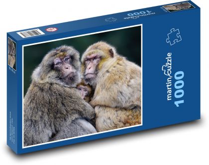 Barbarská opice - makak, rodina - puzzle 1000 dílků