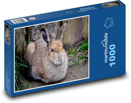 Wilder Hase - Tier, Wald - Puzzle - 1000 Teile
