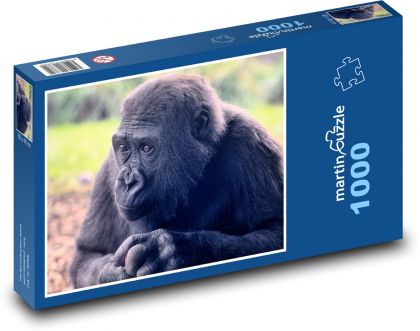 Gorilla - monkey, primate - Puzzle 1000 pieces, size 60x46 cm 