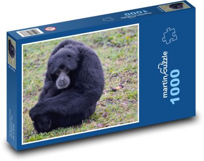 Opice - gibon, primát - Puzzle 1000 dílků, rozměr 60x46 cm