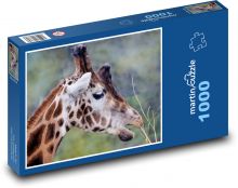 Žirafa - přežvýkavec, savec Puzzle 1000 dílků - 60 x 46 cm