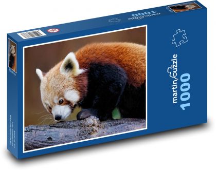 Panda červená - zvíře, savec  - Puzzle 1000 dílků, rozměr 60x46 cm