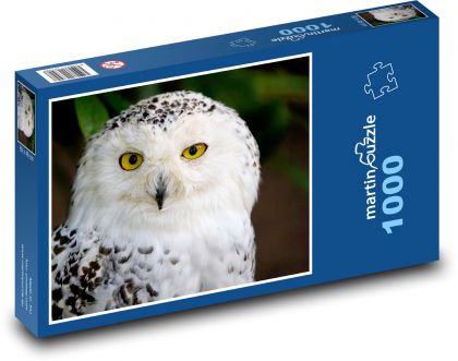 Sova sněžná - bílá sova, pták - Puzzle 1000 dílků, rozměr 60x46 cm