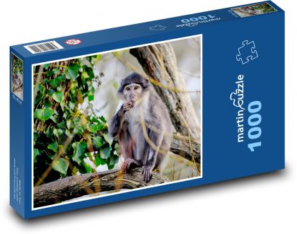Opice mangabej - zvíře, primát - Puzzle 1000 dílků, rozměr 60x46 cm