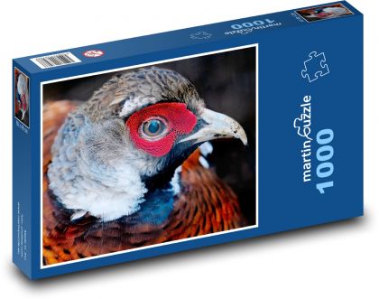 Bažant - vták, zviera - Puzzle 1000 dielikov, rozmer 60x46 cm