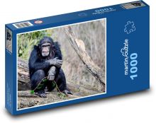 Schimpanse - Affe, Säugetier Puzzle 1000 Teile - 60 x 46 cm