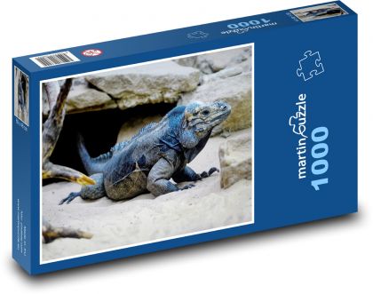 Leguán - plaz, skala - Puzzle 1000 dielikov, rozmer 60x46 cm
