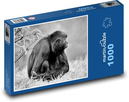 Opice - primát, savec - Puzzle 1000 dílků, rozměr 60x46 cm
