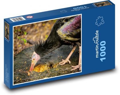 Ibis - ptak, zwierzę - Puzzle 1000 elementów, rozmiar 60x46 cm