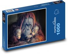 Orangutan - opice, opičky Puzzle 1000 dílků - 60 x 46 cm